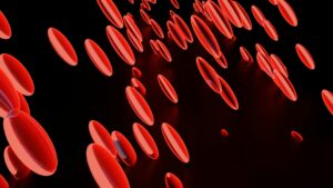 Understanding the Importance of Circulation and How to Improve Blood Flow
