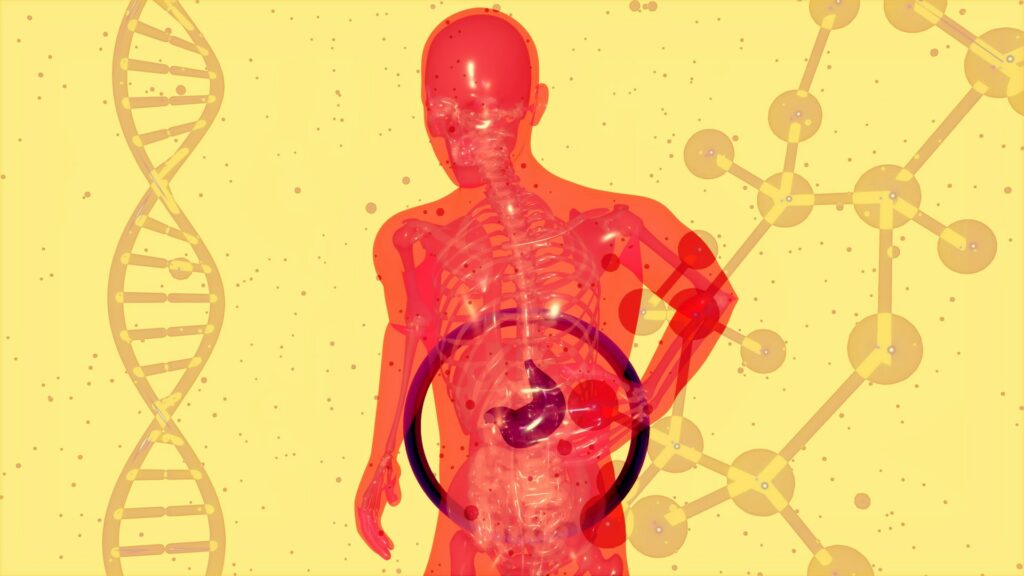 The Connection Between the Health of the Gut and Emotional Satisfaction